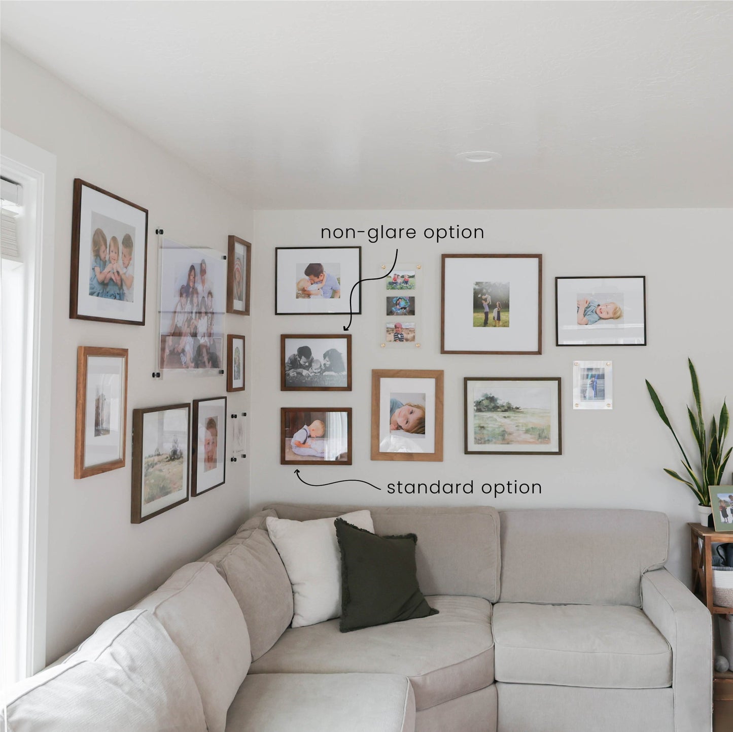 Non-Glare Picture Frame